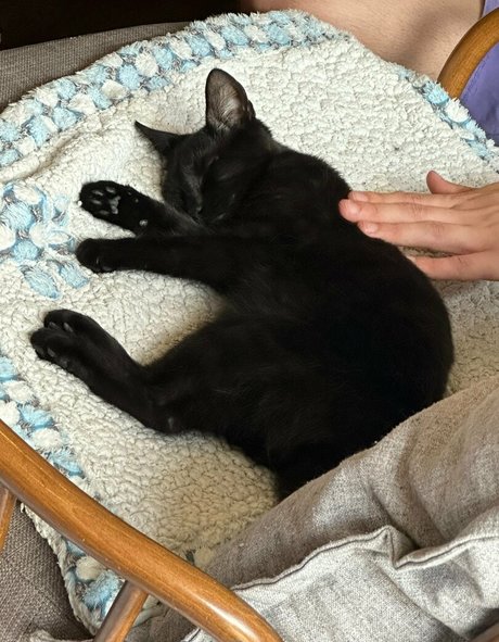 Enyaarwyen pornstar exclusive images