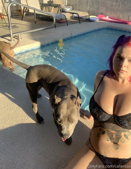 calierose xxx star galleries