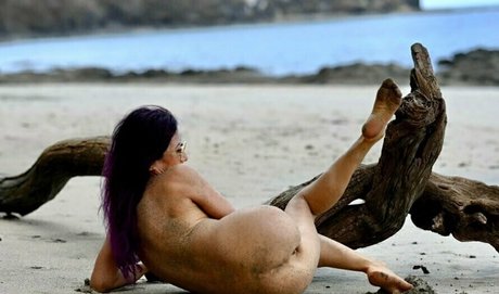 Cocoscorpio model top image