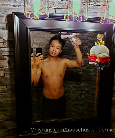 househusbandernie star nice pic