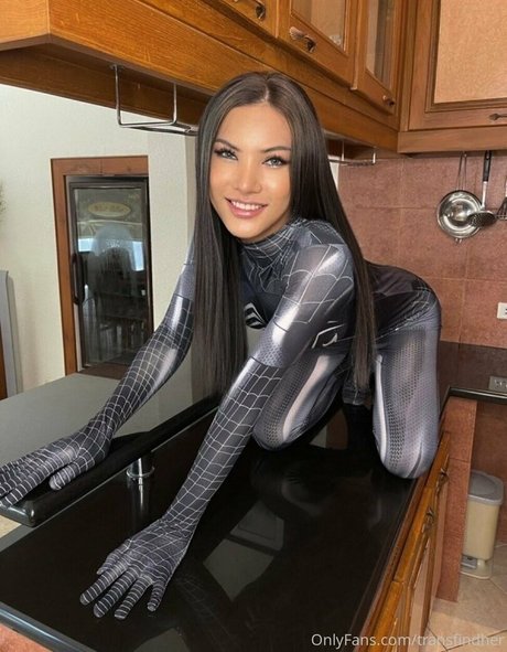 transfindher free model gallery