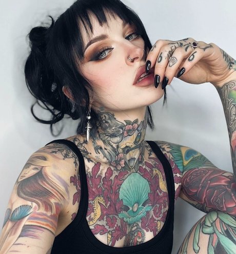 elporterofficial star best galleries