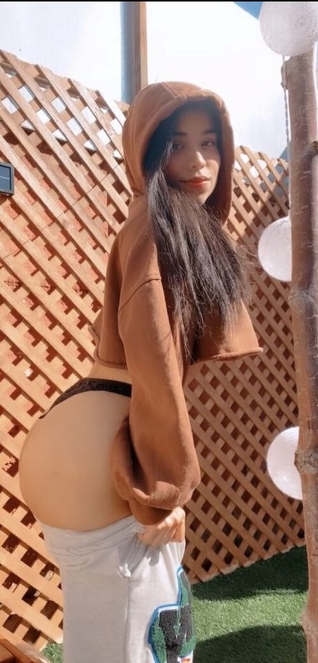 albapar high quality star archive