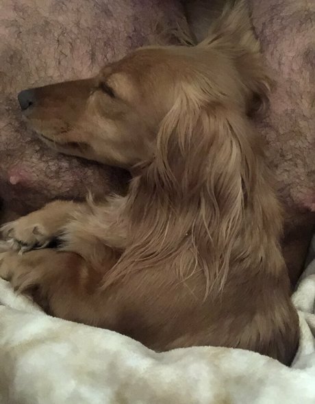 chadwhitexxxfree hd star archive