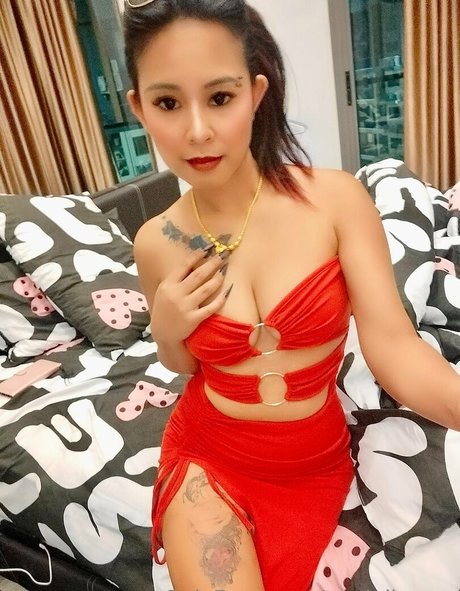 terriallyours star hd img