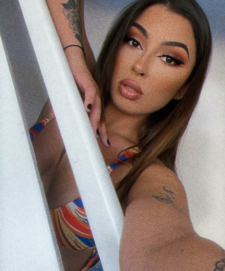 Pietracoimbra best model archive