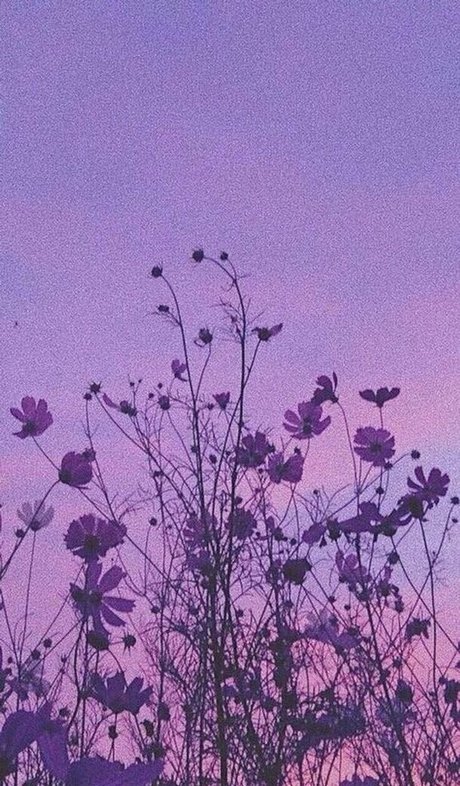 Honeybunnycos naked actress picture