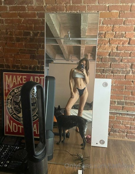 tashlove sexy pornstar images