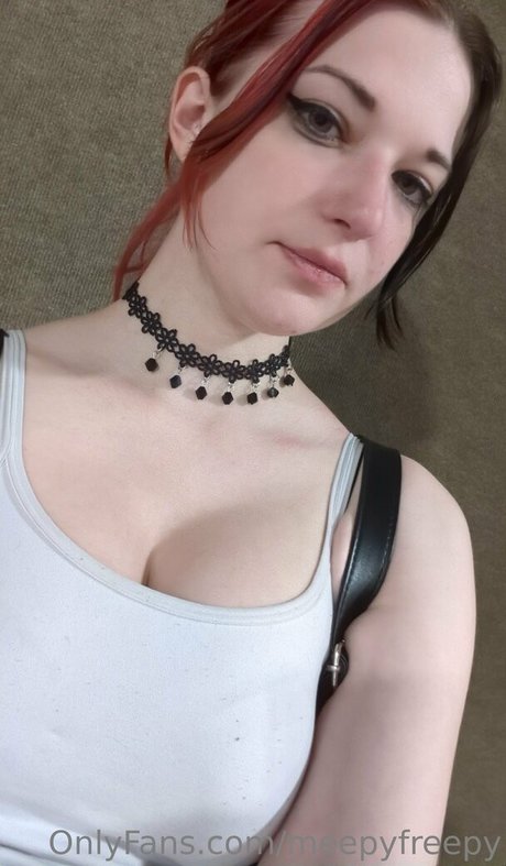 meepyfreepy art model archive