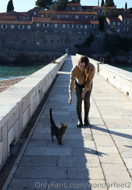 wonderfeel2 star adult archive