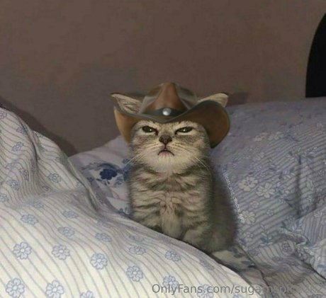 smoll n sweet 2k2 xxx actress photo