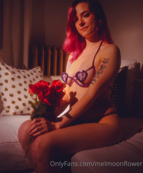 melmoonflower pretty star archive