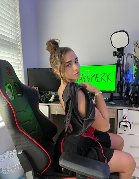 Jaysmerk star high quality galleries