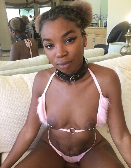 thenovapandafree pornstar perfect image