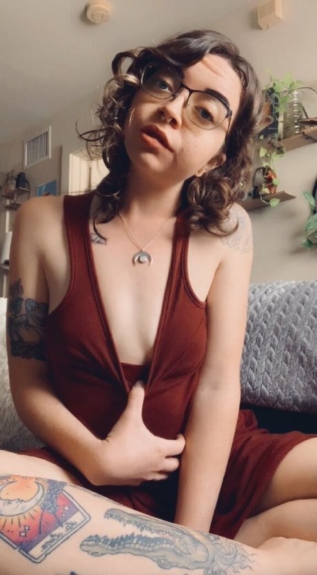 sidhee perfect star galleries