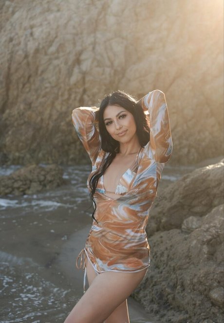 cerissa sustainable art star pics