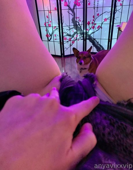 AnyaVixx model pretty pictures