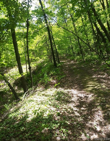 devilishdaisy Profile pic