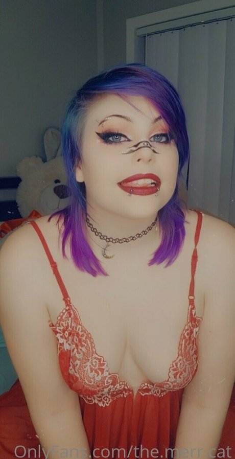 the merr cat star sexy img