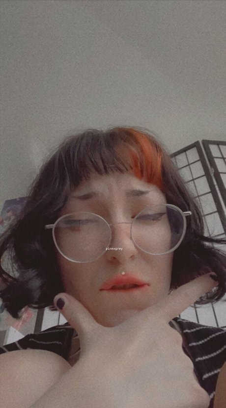 pinexgrey free pornstar picture