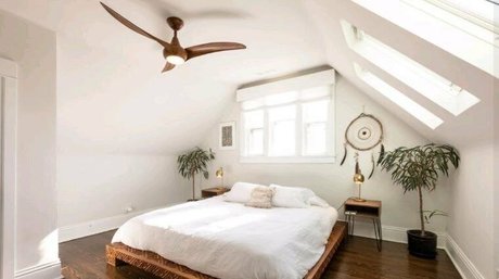 ellabarnettvip pornographic star pictures