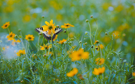 spikezombie top pornstar images