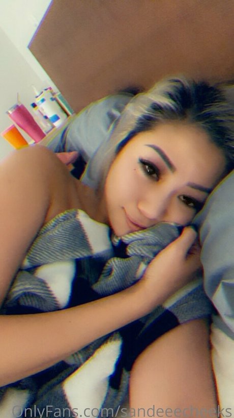 sandeeecheeks pornstar art archive