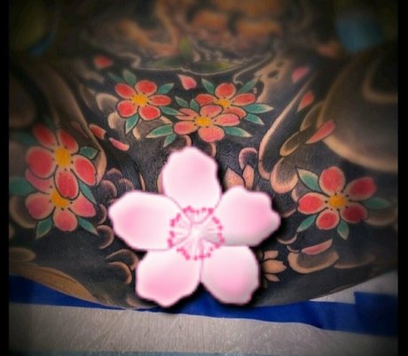 prismofdeath star sexy archive