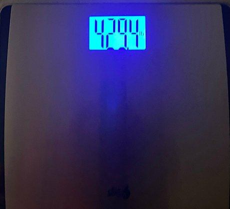 honeycow 17 star picture