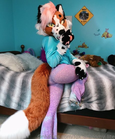 fox anatomy lite high quality model gallery