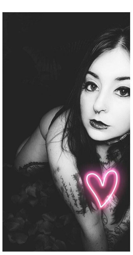 paradox 5683 Profile pic