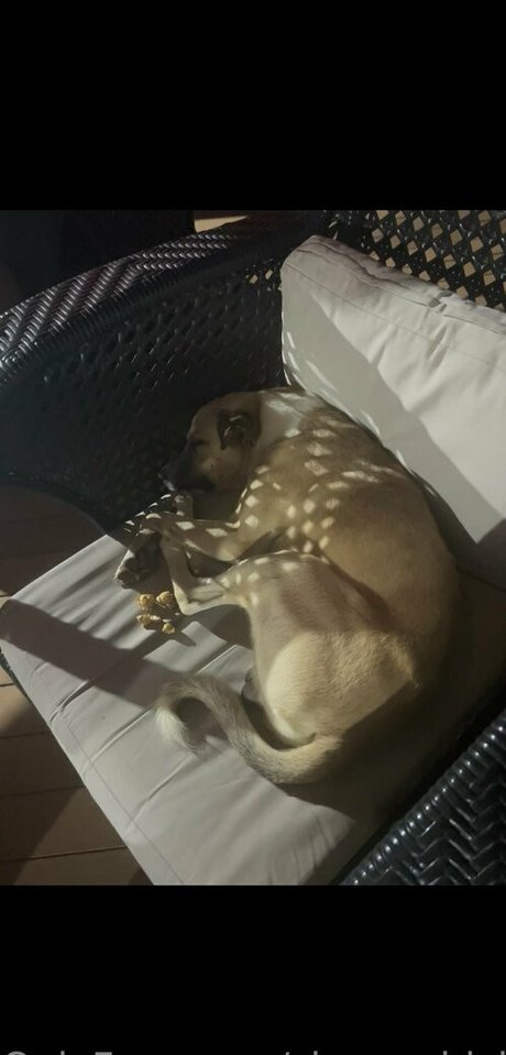 sleepychick11 pornstar nude photos