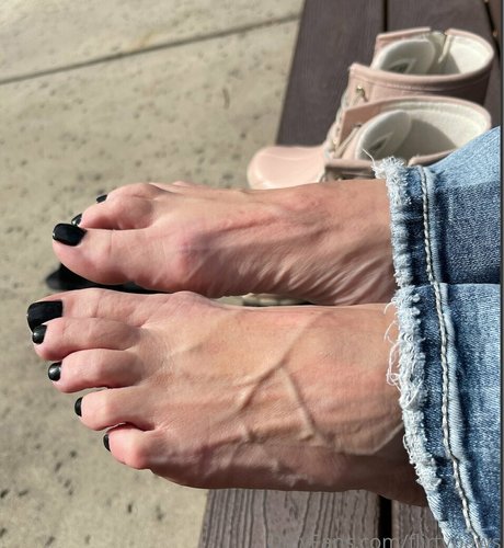 flirtypaws star hd picture