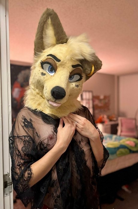 angel pups adult model pics