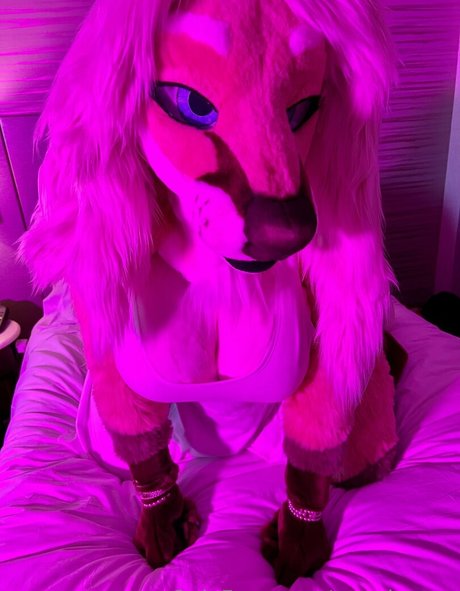 angel pups xxx pornstar pics