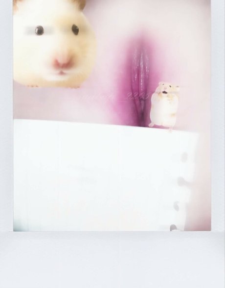 suabap 2205 adult actress pic