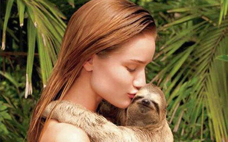 Rosie HW_ model pornographic pics