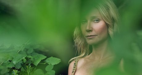 Gwyneth Paltrow porn star pic