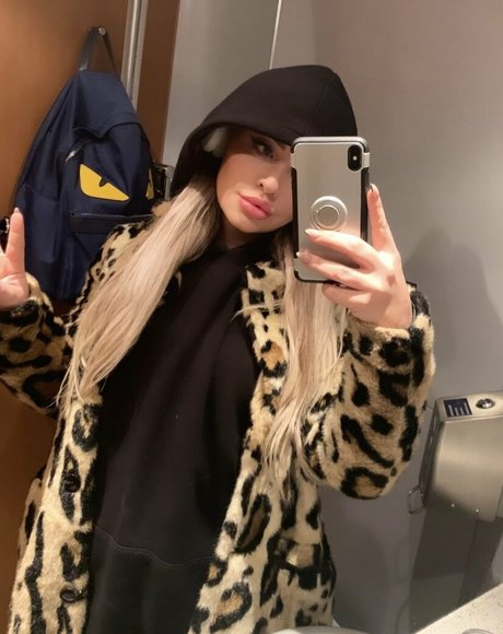 englishrosefree beautiful star picture