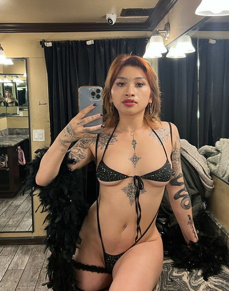 VenusMatrix star free gallery