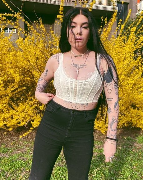 Ready To Glare sex star image