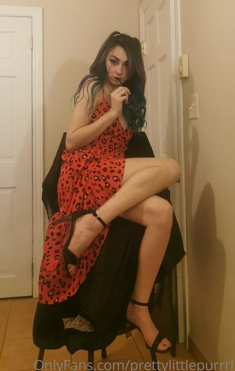 prettylittlepurrrl star art galleries