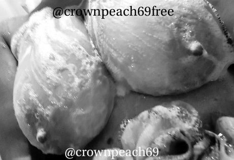 kissitpromos star sex image