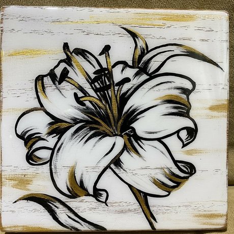 nina morelo nice pornstar photo