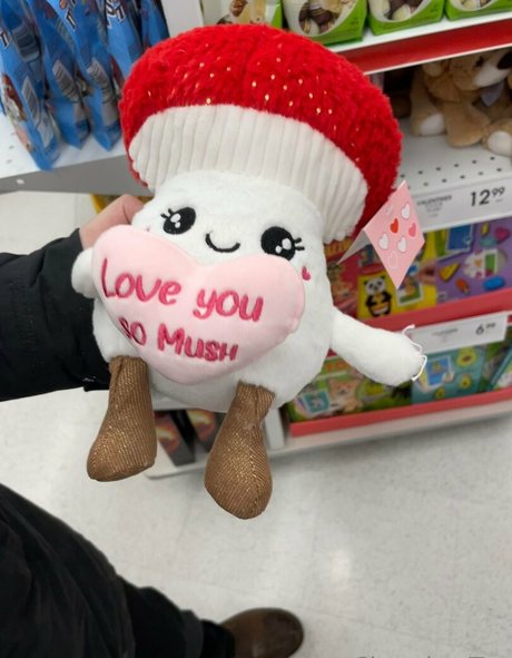 Chronixx tay star perfect images