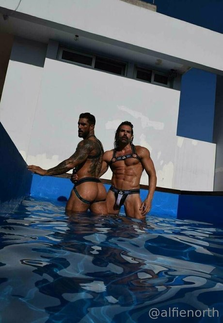 alfienorthfree star sexy archive