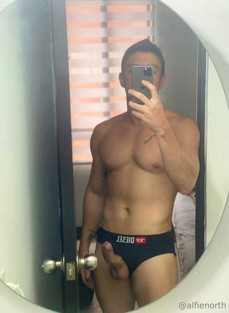 alfienorthfree model art pics