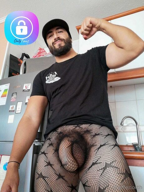 alfienorthfree xxx model image