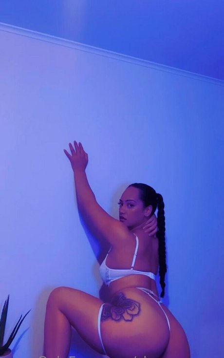 sham rose w art model galleries