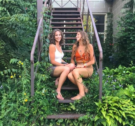 Taylor Francis star best images